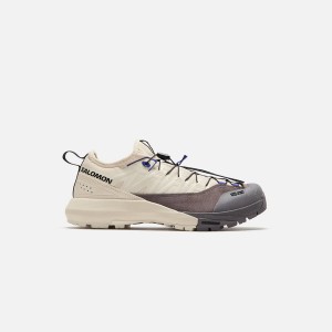 Purple / Blue Men Kith Salomon Alpinway Advanced Sneakers | 6354-TJNUK