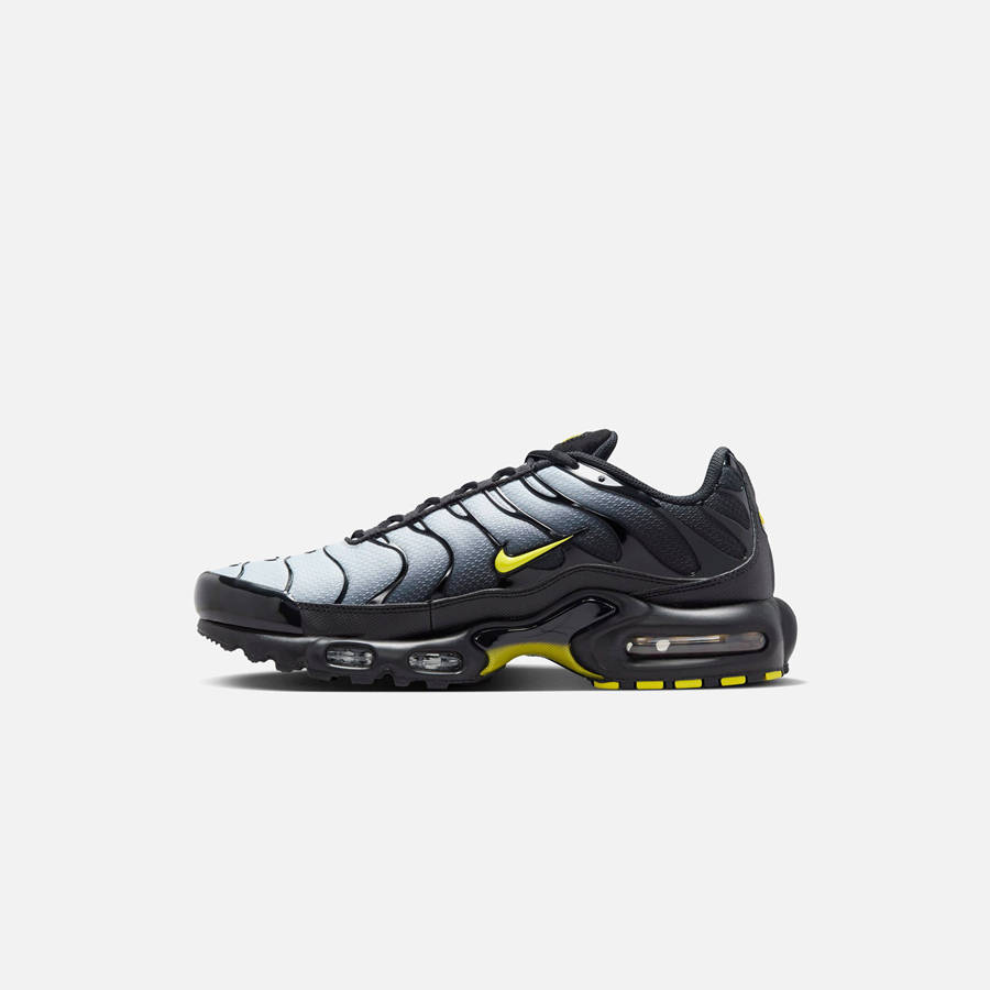 Black / Grey / Yellow Men Kith Nike Air Max Plus Sneakers | 3946-AYLER
