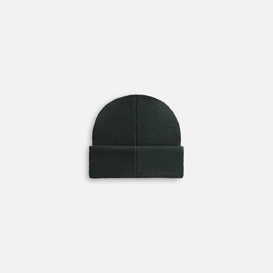 Deep Green Kids' Kith Classic Beanie Headwear | 1798-PMEAK