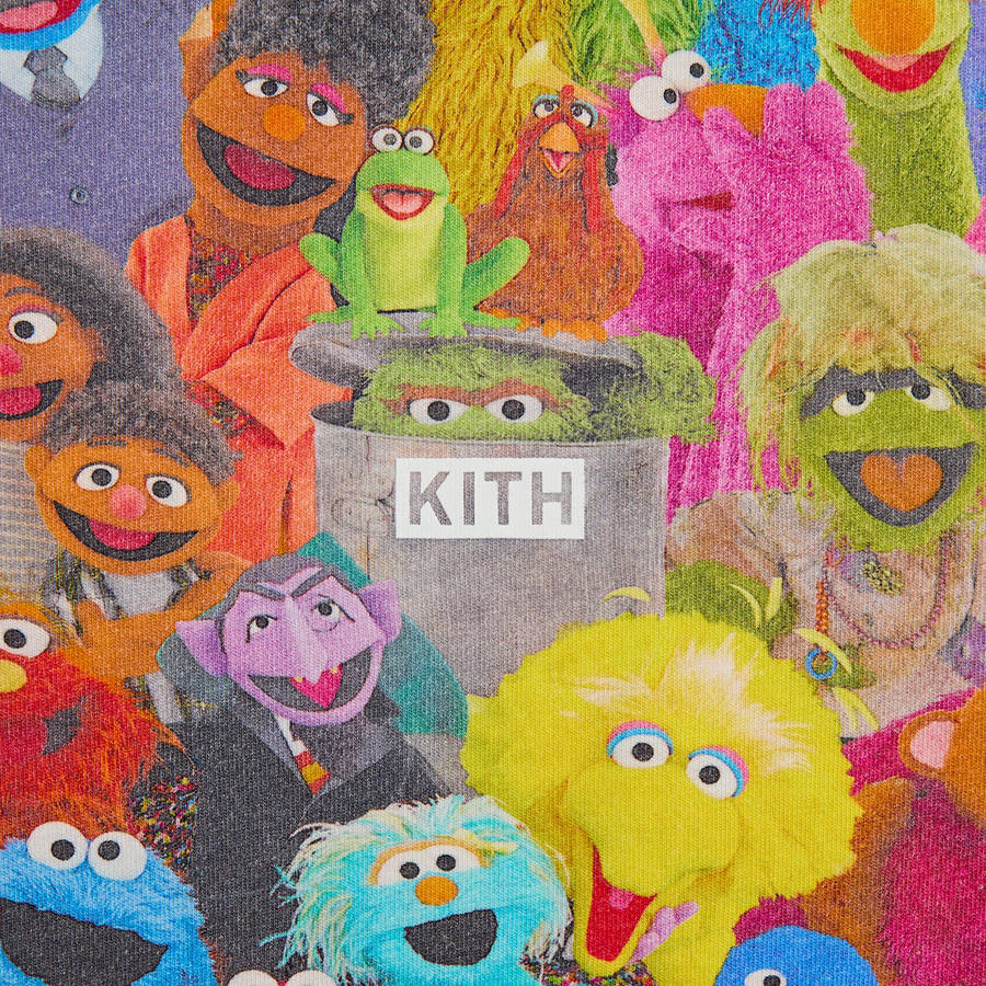 Multicolor Men Kith for Sesame Street Family T-Shirt | 3907-KFBHC