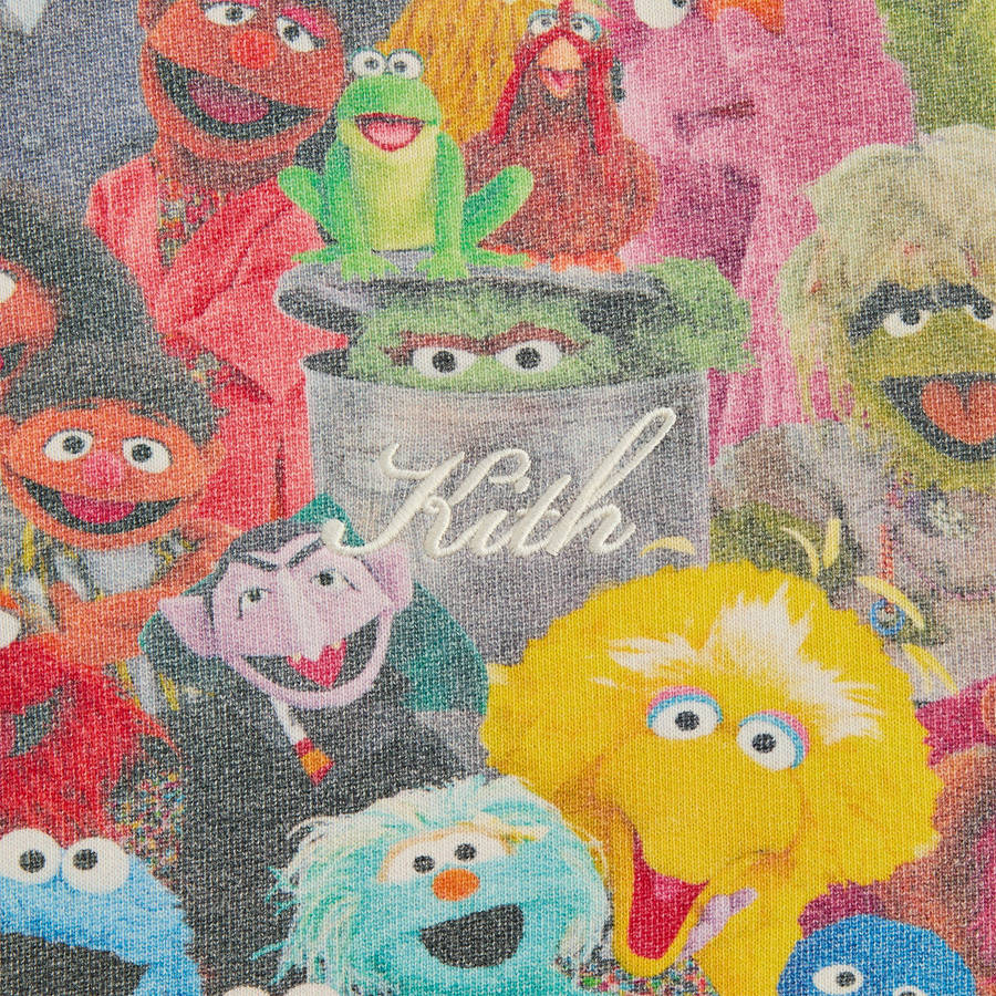 Multicolor Men Kith for Sesame Street Family Williams III Hoodie Sweatshirts | 7284-EIBPW