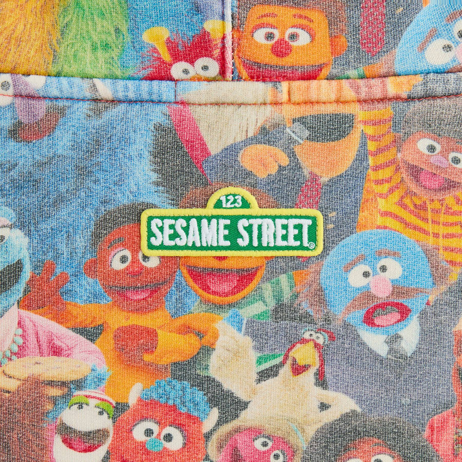 Multicolor Men Kith for Sesame Street Family Williams III Hoodie | 9016-VULAC