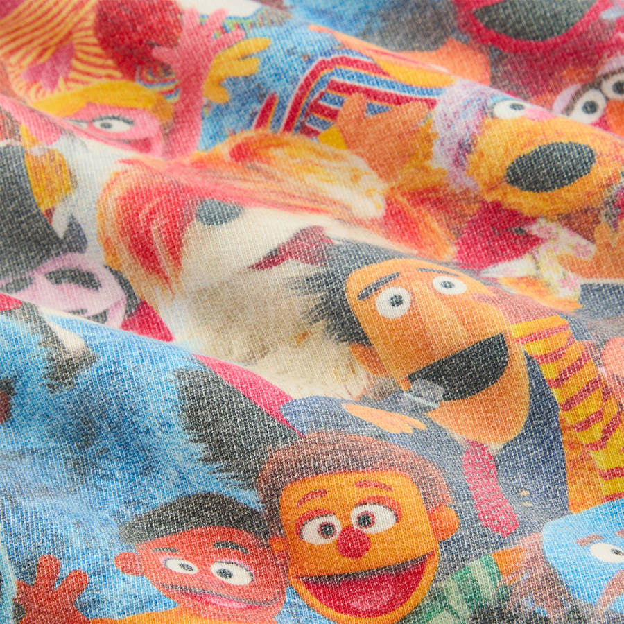 Multicolor Men Kith for Sesame Street Family Williams III Hoodie | 9016-VULAC