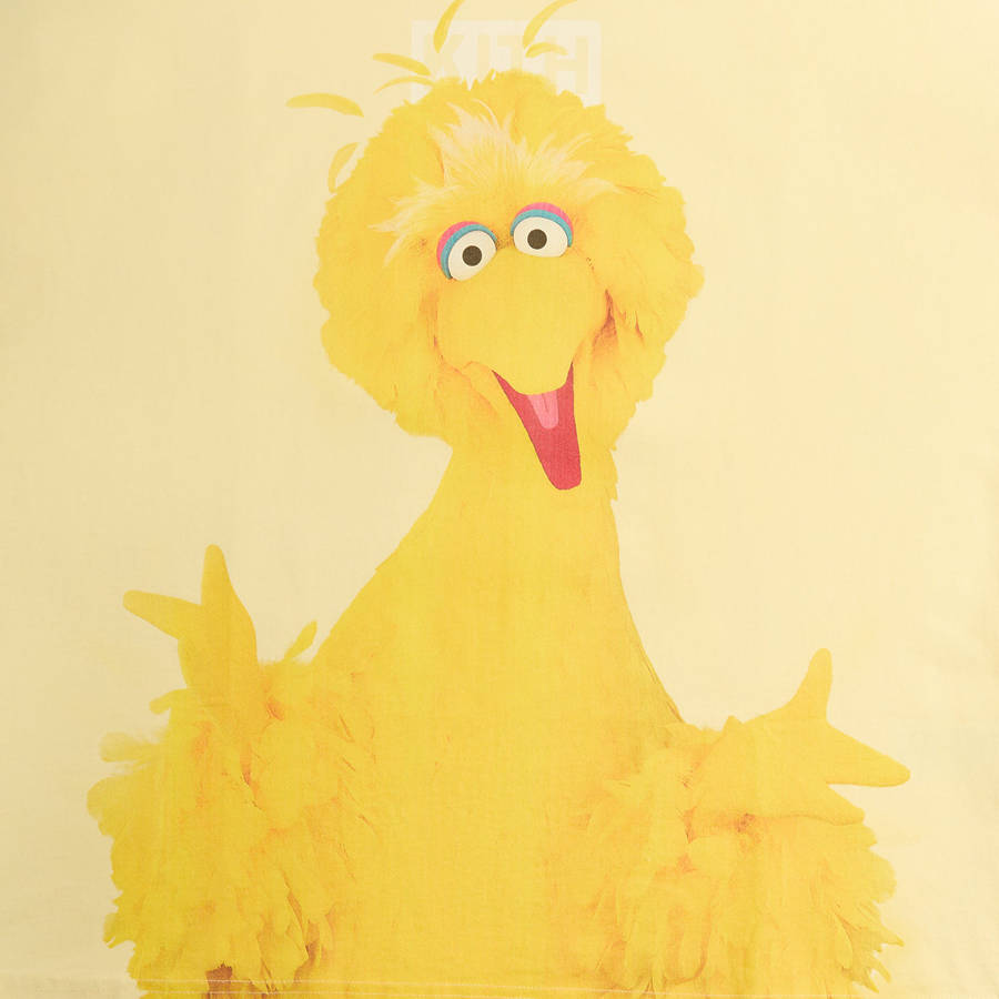 Yellow Men Kith for Sesame Street Big Bird T-Shirt | 7359-OLBKY