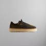Black Olive / Dark Green