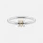 Silver / Gold